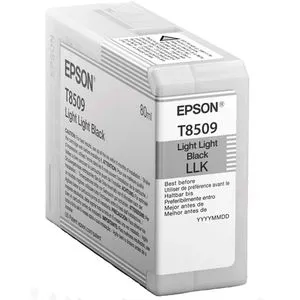 Cartucho Epson T850900 — EPSON